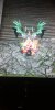 IMG-20200127-WA0034.jpeg