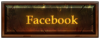 2533 2533