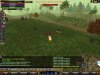 farm2.jpg