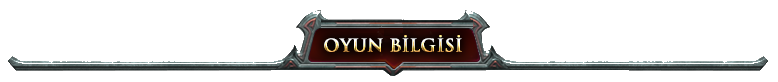 Oyun Bilgisi.png